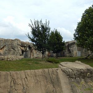 8/16/2025 - Bear Habitat #2