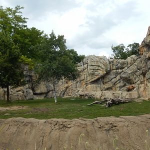 8/16/2025 - Bear Habitat #1