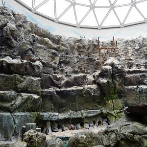 8/16/2025 - Free Flight Aviary