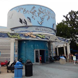 8/16/2025 - The Living Coast