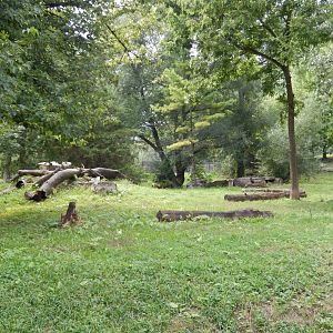 8/16/2025 - Regenstein Wolf Woods