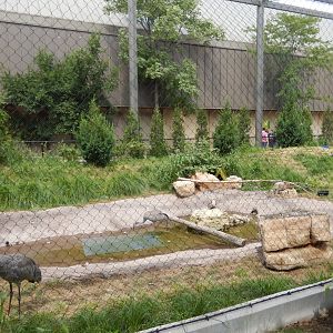 8/16/2025 - North American Prairie Aviary