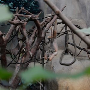 8/16/2025 - Just Swingin' By...