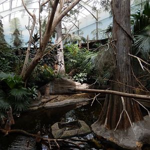 8/16/2025 - Free Flight Swamp Aviary (Back View)