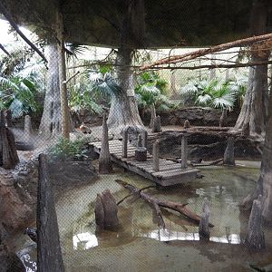 8/16/2025 - Bird Habitat