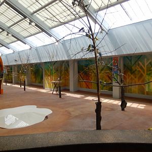 8/16/2025 - Budgie Feeding Aviary