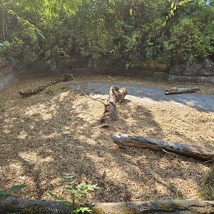 (Former) Hippo exhibit construction