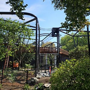 Forest Trailhead construction