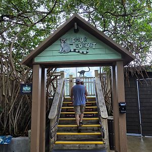 Wetlands - New Lemur Landing entrance (former "Madagascar" area).
