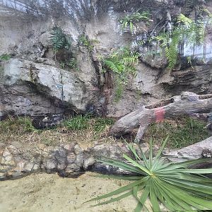 Wetlands - New Burmese python exhibit