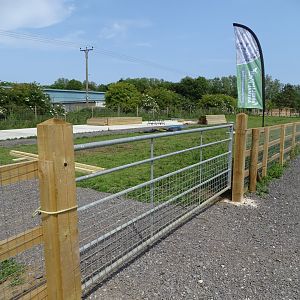 Felines exhibit under construction, 11th June 2025