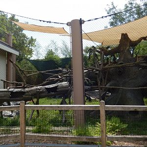 8/16/2025 - Coati Habitat