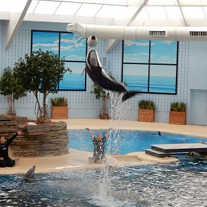 8/16/2025 - You Gotta Jump!