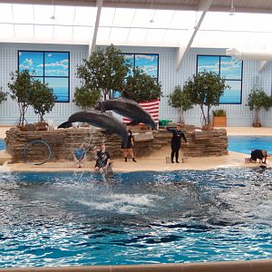 8/16/2025 - Side-By-Side