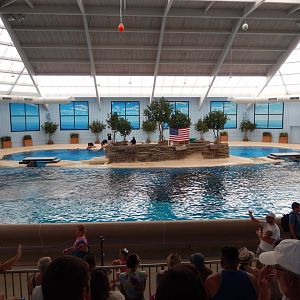 8/16/2025 - Seven Seas Dolphin Stadium