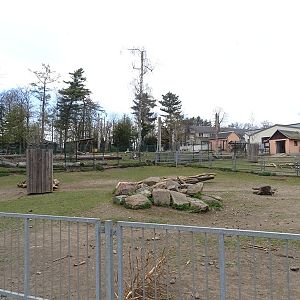 Amerika-Tierpark: donkey enclosure