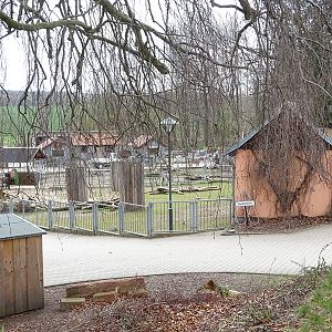 Amerika-Tierpark: donkey enclosure
