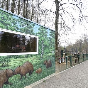 Amerika-Tierpark: Capybara indoor enclosure
