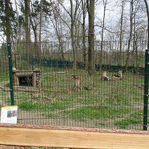 Amerika-Tierpark: maned wolf enclosure