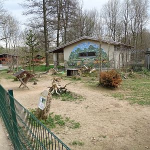 Amerika-Tierpark: Patagonian mara enclosure
