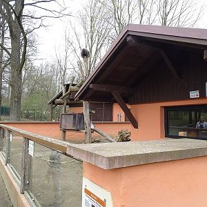 Amerika-Tierpark: Prairie dog / tree porcupine enclosure