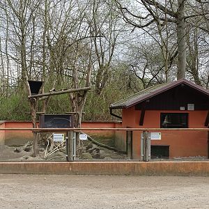 Amerika-Tierpark: Prairie dog / tree porcupine enclosure
