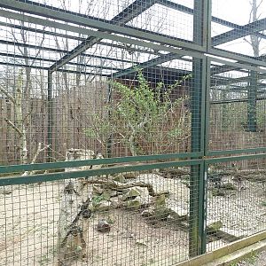 Amerika-Tierpark: arctic fox  second enclosure