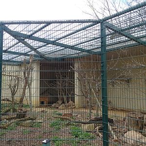 Amerika-Tierpark: bobcat enclosure
