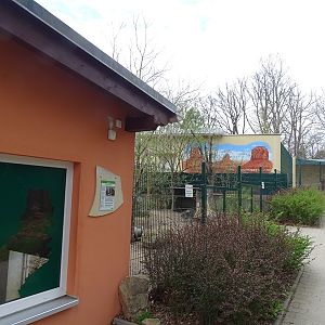 Amerika-Tierpark: chacoan peccary enclosure