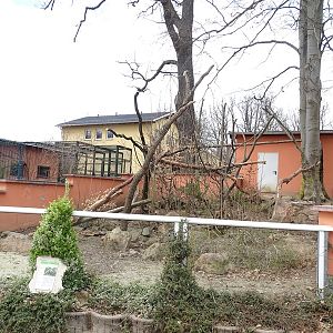 Amerika-Tierpark: coati enclosure