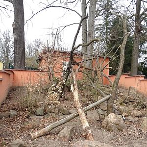 Amerika-Tierpark: coati enclosure