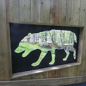 Bush dog viewing window