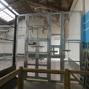 Giraffe training wall