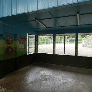 Giraffe extension viewing area