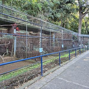 Birds of Pray exhibits