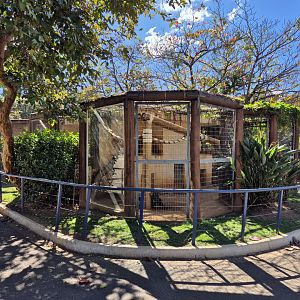 Small Carnivores exhibits