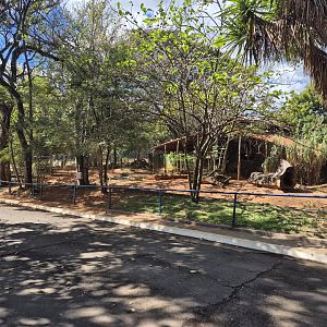 Giant Anteater/Gray Brocket Deer/Aguti mixed exhibit