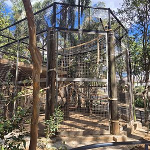 Woolly monkey exhibit