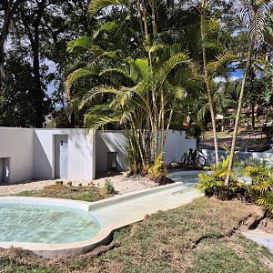 Neotropical Otter exhibit