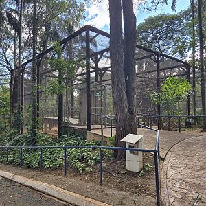 Walkthrough aviary