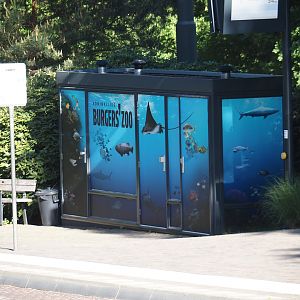 Cabin with Burgers' Ocean decals next to bus stop, 2025-05-17