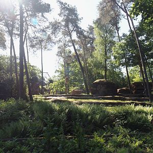 Asian elephant exhibit, 2025-05-17