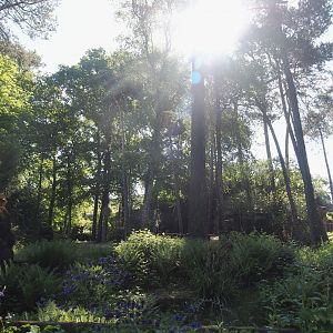 Asian elephant exhibit, 2025-05-17