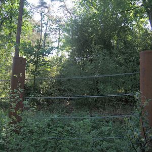 Extension of the Asian elephant exhibit (Seemingly not in use at the time?), 2025-05-17