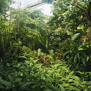 View in Burgers' Bush, 2025-05-17