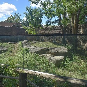 Aug. 2025 - Dragons! - Demoiselle Crane Exhibit (New Species | Former Komodo Dragon)