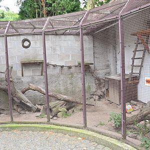 paraZOO - raccoon exhibit