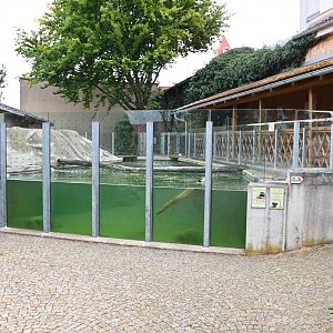 paraZOO - Eurasian otter exhibit