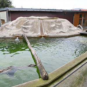 paraZOO - Eurasian otter exhibit