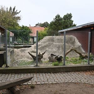 paraZOO - Eurasian otter exhibit